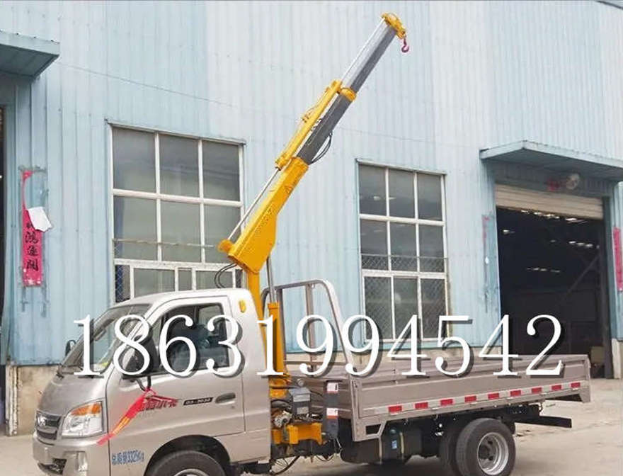 水磨沟区车载吊机小吊机220V包安装车载吊机小型移动起重机简易电动行走吊机装卸货物